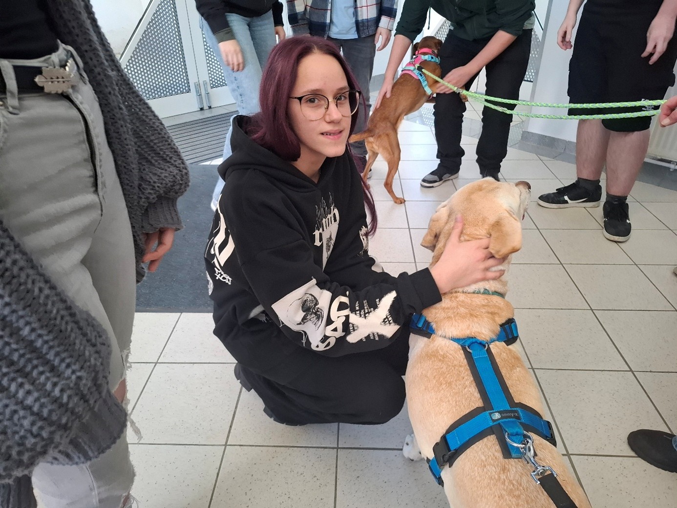 TIER GEWINNT Spendenübergabe TIER GEWINNT Spendenübergabe