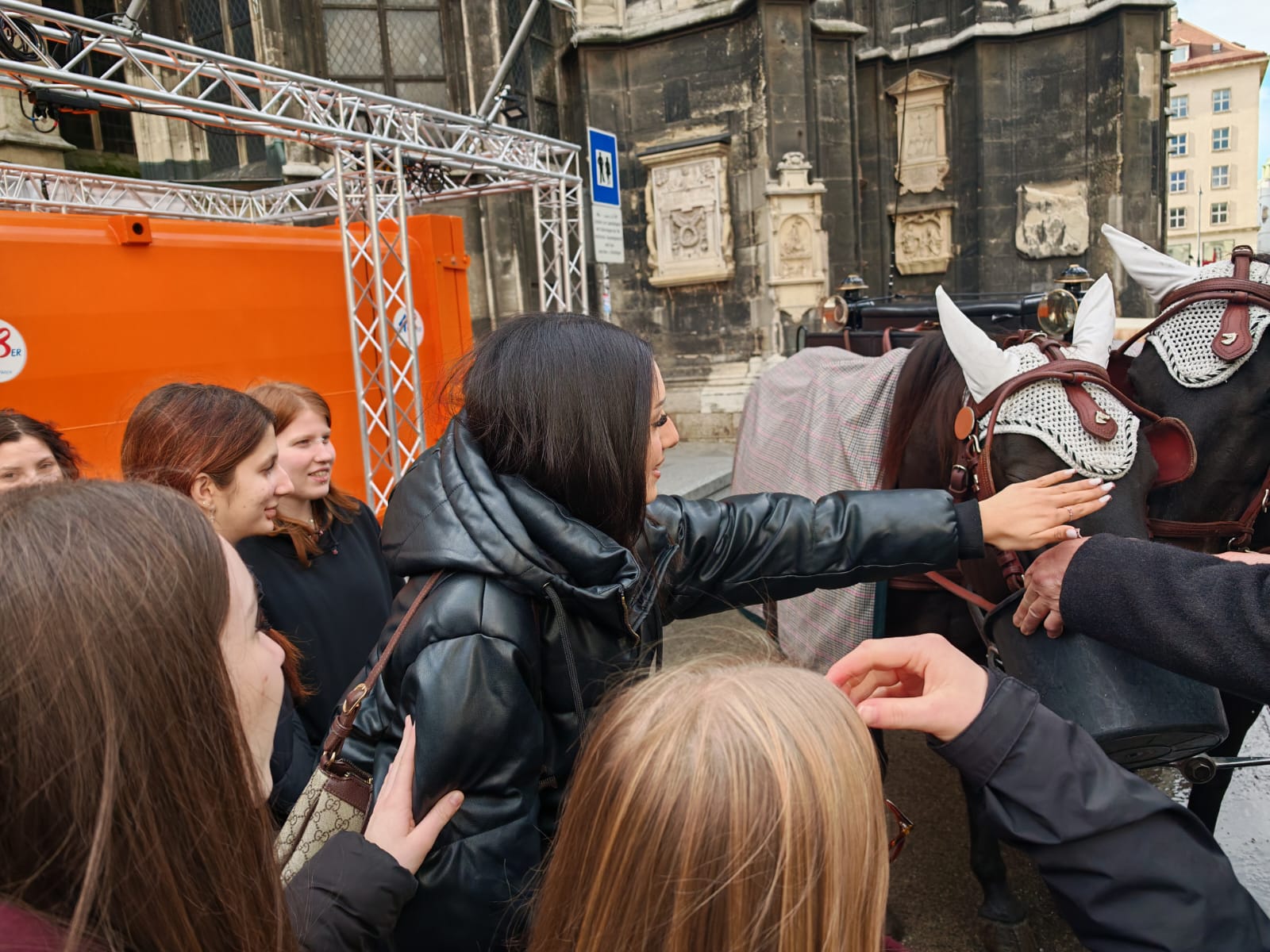 Wiener Rathaus und Stephansdom
