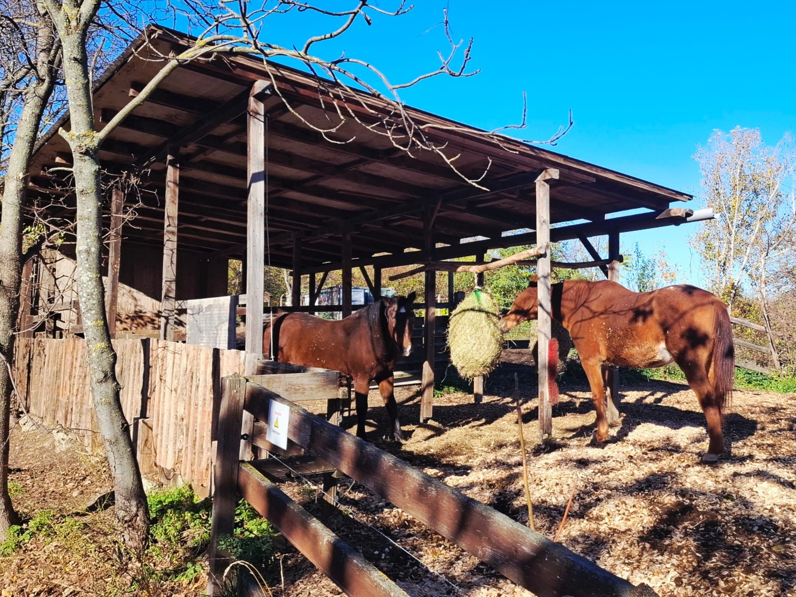 Tierschutzhaus Vösendorf Tierschutzhaus Vösendorf