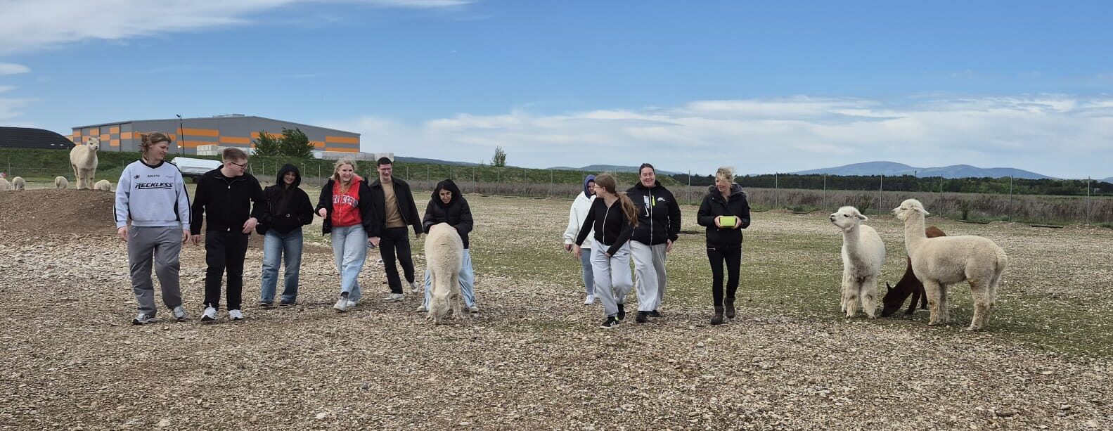 Schüler:innen der LBS Theresienfeld zu Besuch am Alpakahof