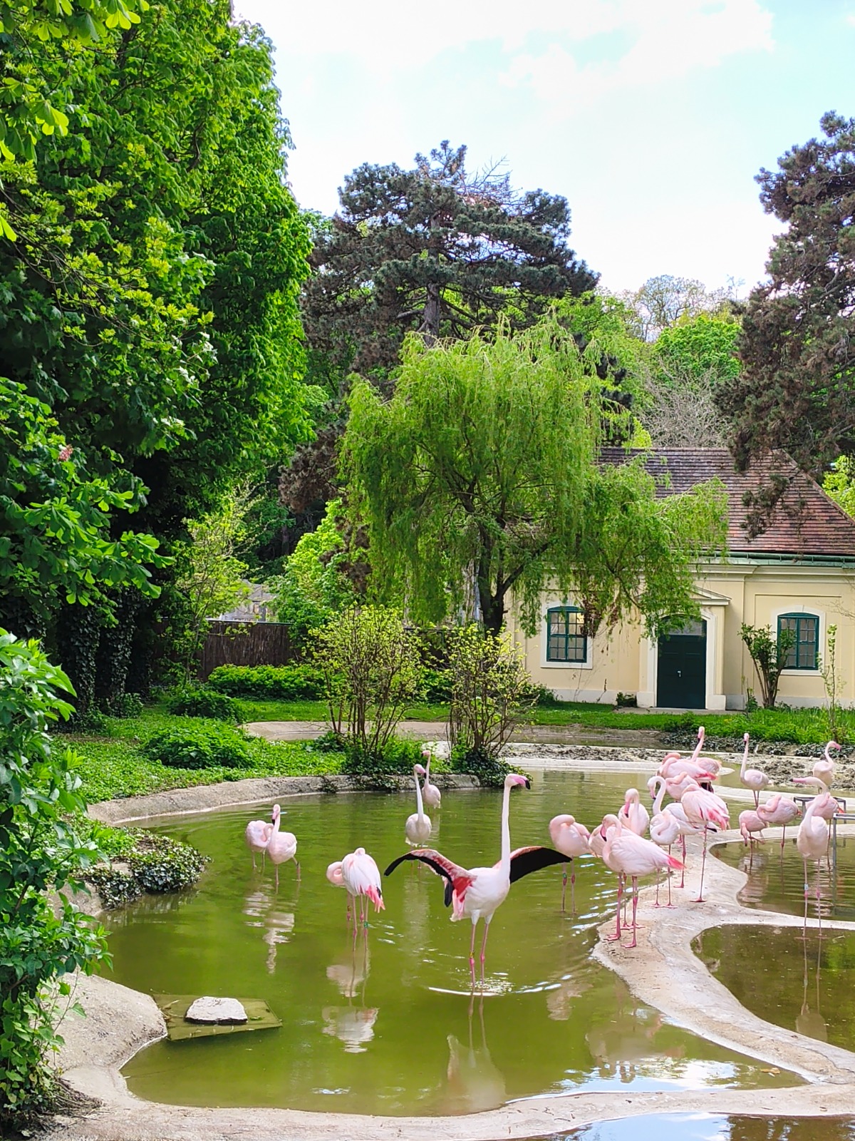 Schönbrunn: Eindrücke in die Tierwelt