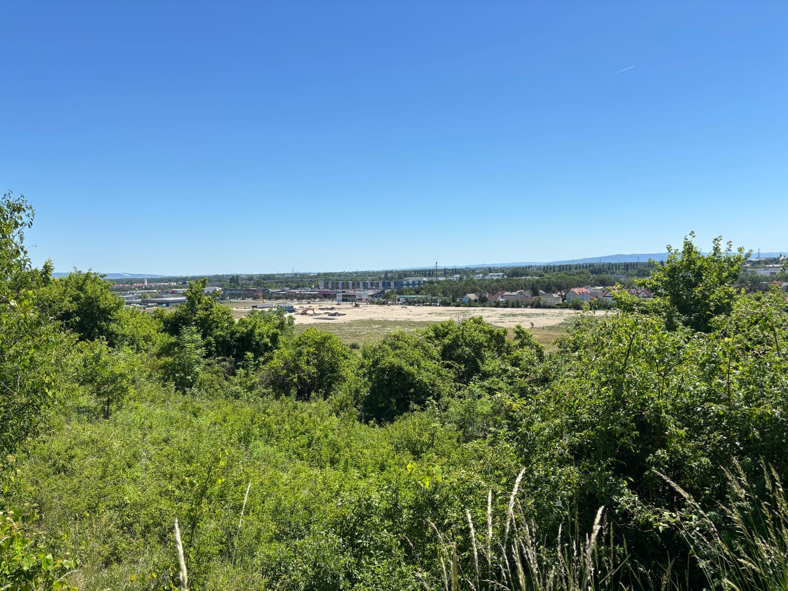Lehrausgang_Hirtenberg_1 Blick über eine grüne Landschaft auf Häuser und ein Industriegebiet unter blauem Himmel.