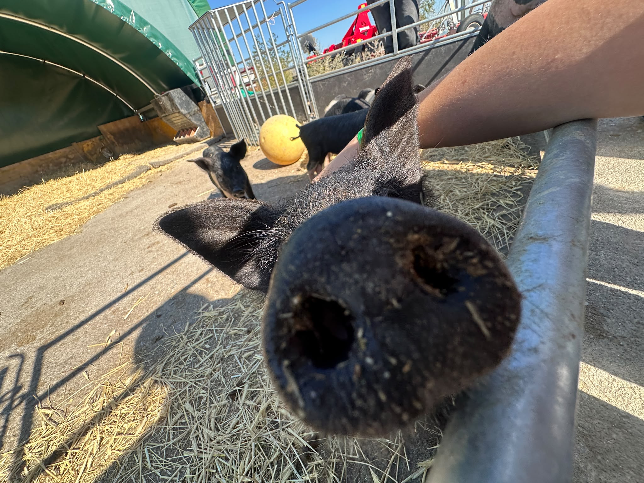 Was guckst du? Was guckst du?