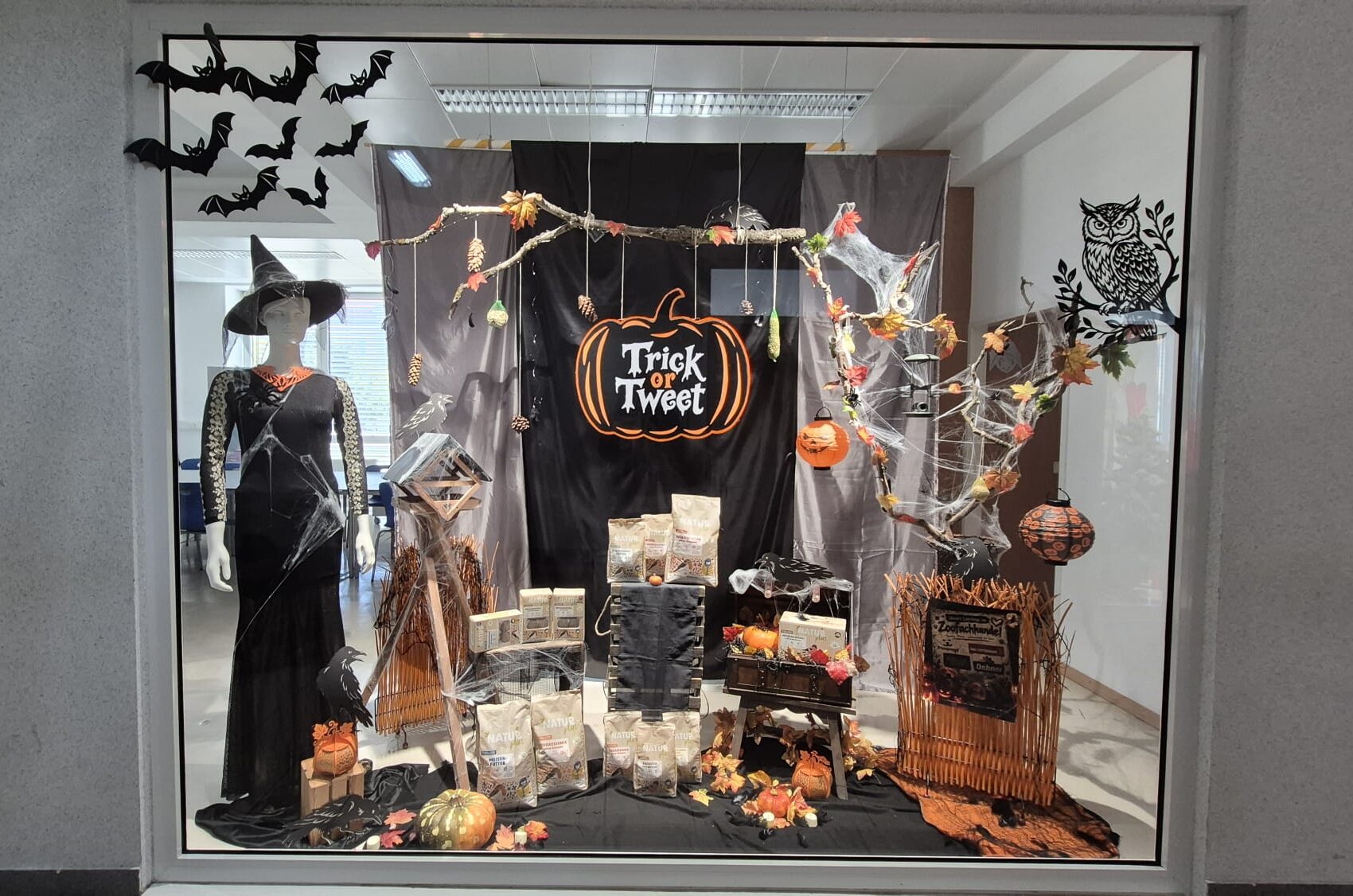 Halloween 2026 Halloween-Schaufenster mit NATUR-Vogelfutter, einer Hexenfigur in schwarzem Kleid, Fledermäusen, Spinnweben, Kürbissen und herbstlicher Dekoration.